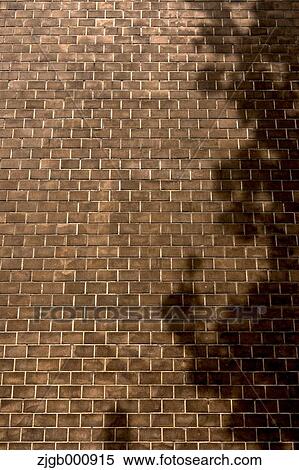 Stock Photography - Brick wall. Fotosearch