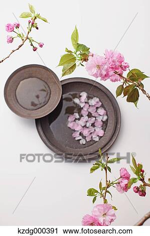 Stock Image - Cherry blossoms and plates. Fotosearch