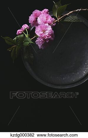 Stock Image - Cherry blossoms on a plate. Fotosearch