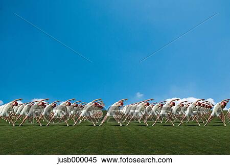 Children doing gymnastic View Large Photo Image Stock Photography - Children doing gymnastic. Fotosearch
