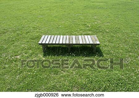 Clover field and bench View Large Photo Image Stock Photograph - Clover field and bench. Fotosearch