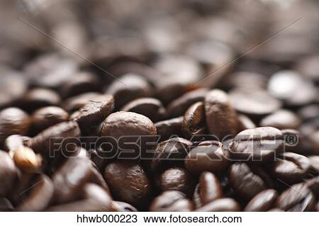 Coffee beans View Large Photo Image Stock Image - Coffee beans. Fotosearch