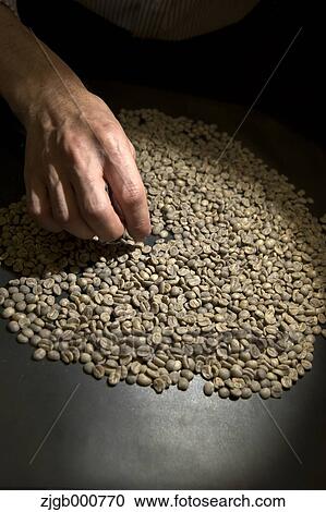 Coffee beans View Large Photo Image Stock Image - Coffee beans. Fotosearch