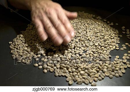 Stock Photo - Coffee beans. Fotosearch
