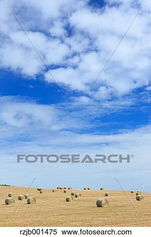 Stock Photography - Field with bales of hay and blue sky with clouds, Hokkaido. Fotosearch