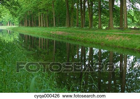 Forest and canal, Netherlands View Large Photo Image Stock Photograph - Forest and canal, Netherlands. Fotosearch