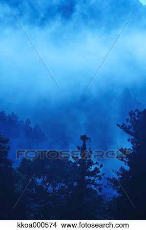 Picture - Forest at summer, Mie Prefecture. Fotosearch