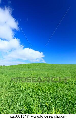 Grassland and sky with clouds, Hokkaido View Large Photo Image Stock Photo - Grassland and sky with clouds, Hokkaido. Fotosearch