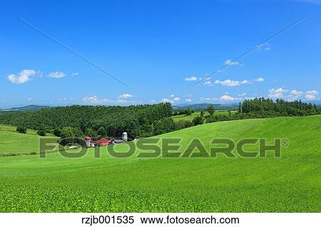 Grassland and sky with clouds, Hokkaido View Large Photo Image Stock Photography - Grassland and sky with clouds, Hokkaido. Fotosearch