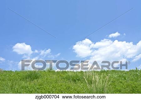 Grassland and sky with clouds View Large Photo Image Picture - Grassland and sky with clouds. Fotosearch