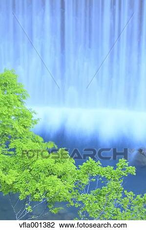 Green leaves and water stream View Large Photo Image Stock Image - Green leaves and water stream. Fotosearch