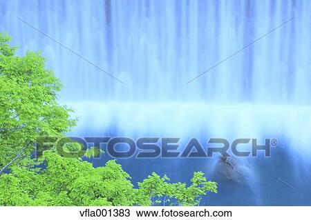 Green leaves and water stream View Large Photo Image Stock Image - Green leaves and water stream. Fotosearch