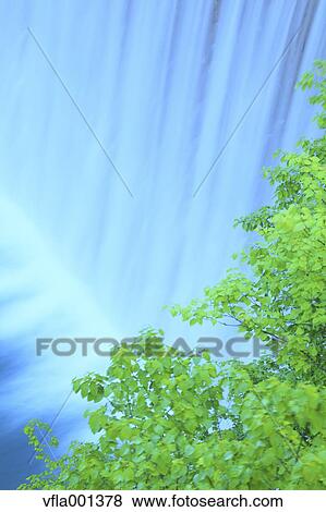 Green leaves and water stream View Large Photo Image Stock Photo - Green leaves and water stream. Fotosearch