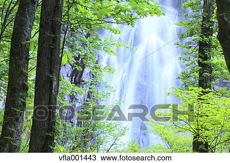 Ichino waterfall, Akita Prefecture View Large Photo Image Stock Image - Ichino waterfall, Akita Prefecture. Fotosearch