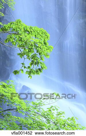 Ichino waterfall, Akita Prefecture View Large Photo Image Stock Image - Ichino waterfall, Akita Prefecture. Fotosearch