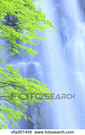 Ichino waterfall, Akita Prefecture View Large Photo Image Stock Photography - Ichino waterfall, Akita Prefecture. Fotosearch