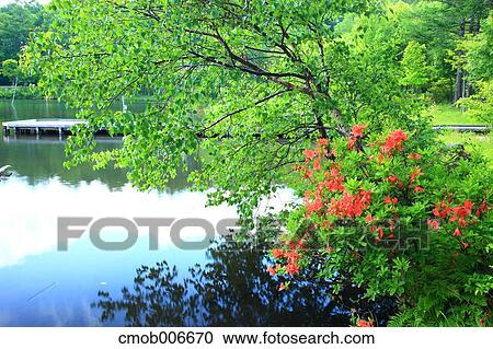 Stock Image - Lake Magami, Nagano Prefecture. Fotosearch