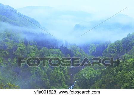 Morning mist at Mount Gassan, Yamagata Prefecture View Large Photo Image Stock Photo - Morning mist at Mount Gassan, Yamagata Prefecture. Fotosearch