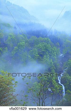 Morning mist at Mount Gassan, Yamagata Prefecture View Large Photo Image Stock Photo - Morning mist at Mount Gassan, Yamagata Prefecture. Fotosearch