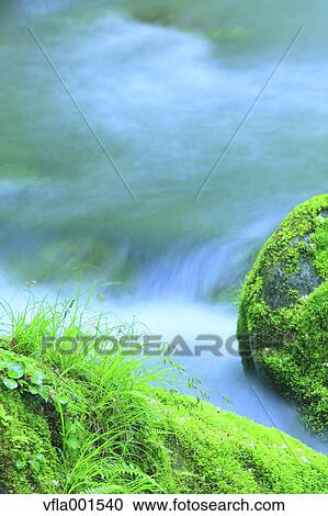 Stock Image - Moss and water stream. Fotosearch