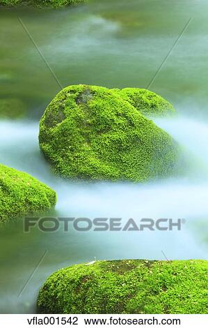 Moss and water stream View Large Photo Image Stock Image - Moss and water stream. Fotosearch