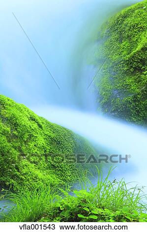 Moss and water stream View Large Photo Image Stock Image - Moss and water stream. Fotosearch