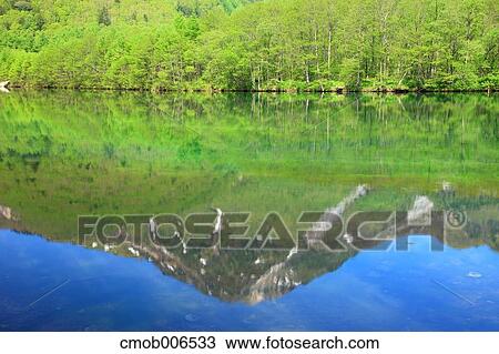 Mount Yakedake and trees reflecting on Taisho pond, Nagano Prefecture View Large Photo Image Stock Image - Mount Yakedake and trees reflecting on Taisho pond, Nagano Prefecture. Fotosearch