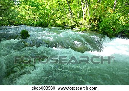 Oirase mountain stream, Aomori Prefecture View Large Photo Image Stock Image - Oirase mountain stream, Aomori Prefecture. Fotosearch