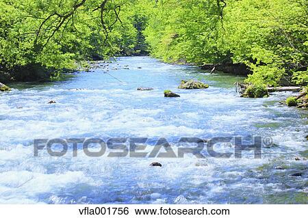 Oirase Mountain Stream, Aomori Prefecture View Large Photo Image Stock Photograph - Oirase Mountain Stream, Aomori Prefecture. Fotosearch