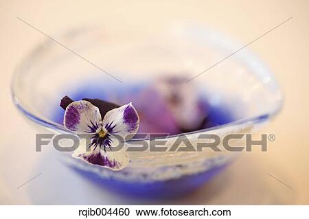 Pansy flower View Large Photo Image Stock Image - Pansy flower. Fotosearch