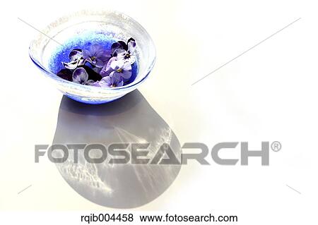 Stock Photo - Pansy flowers. Fotosearch