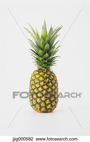 Pineapple View Large Photo Image Stock Image - Pineapple. Fotosearch
