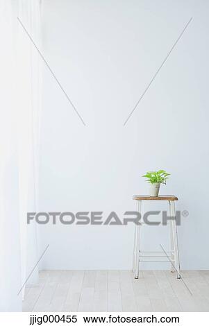 Plant and small table in white room View Large Photo Image Stock Photography - Plant and small table in white room. Fotosearch
