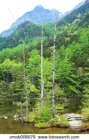 Pond Myojin, Nagano Prefecture View Large Photo Image Stock Photo - Pond Myojin, Nagano Prefecture. Fotosearch