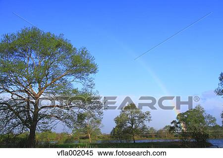 Stock Photography - Rainbow at Kitakami Municipal Park, Iwate prefecture. Fotosearch