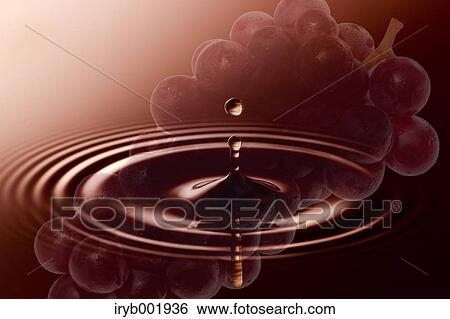 Red wine and grape View Large Photo Image Stock Photograph - Red wine and grape. Fotosearch