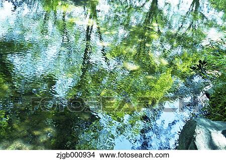 Reflections on a pond View Large Photo Image Picture - Reflections on a pond. Fotosearch