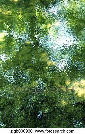 Reflections on a pond View Large Photo Image Stock Image - Reflections on a pond. Fotosearch