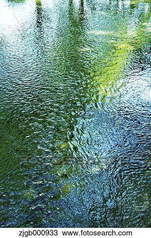Stock Image - Reflections on a pond. Fotosearch