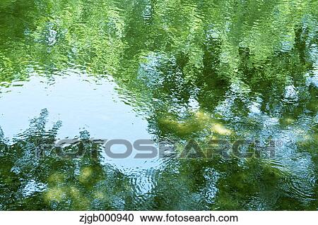 Stock Image - Reflections on a pond. Fotosearch
