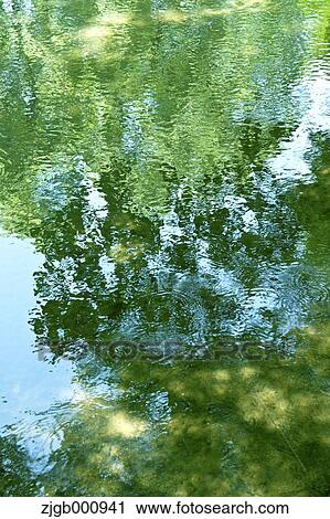Reflections on a pond View Large Photo Image Stock Image - Reflections on a pond. Fotosearch