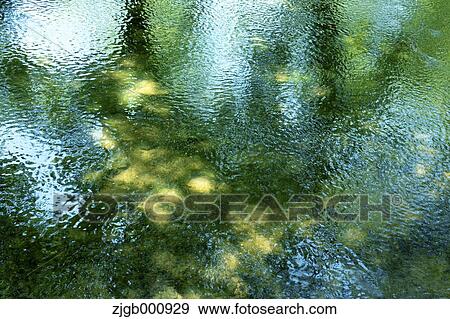 Reflections on a pond View Large Photo Image Stock Photo - Reflections on a pond. Fotosearch