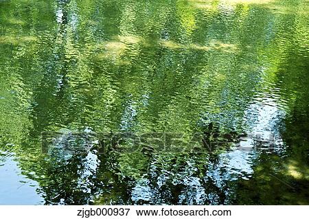 Stock Photo - Reflections on a pond. Fotosearch