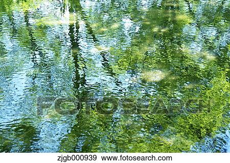 Stock Photo - Reflections on a pond. Fotosearch