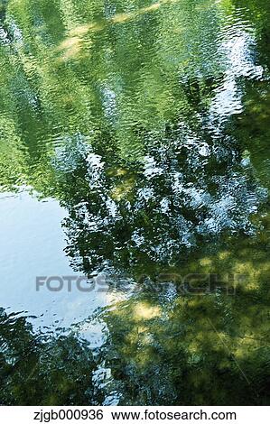 Stock Photograph - Reflections on a pond. Fotosearch