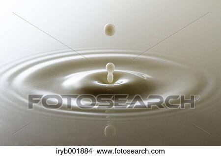 Picture - Ripples in milk. Fotosearch
