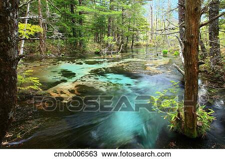 Stock Image - River in Chubu-Sangaku National Park, Nagano Prefecture. Fotosearch