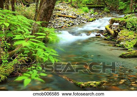 Stock Photography - River in Chubu-Sangaku National Park, Nagano Prefecture. Fotosearch