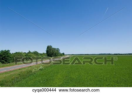 Road and grassland, Netherlands View Large Photo Image Picture - Road and grassland, Netherlands. Fotosearch