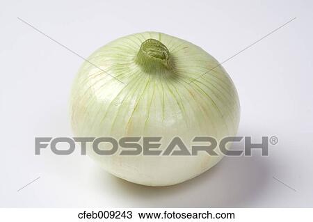 Stock Image - Spring onion. Fotosearch